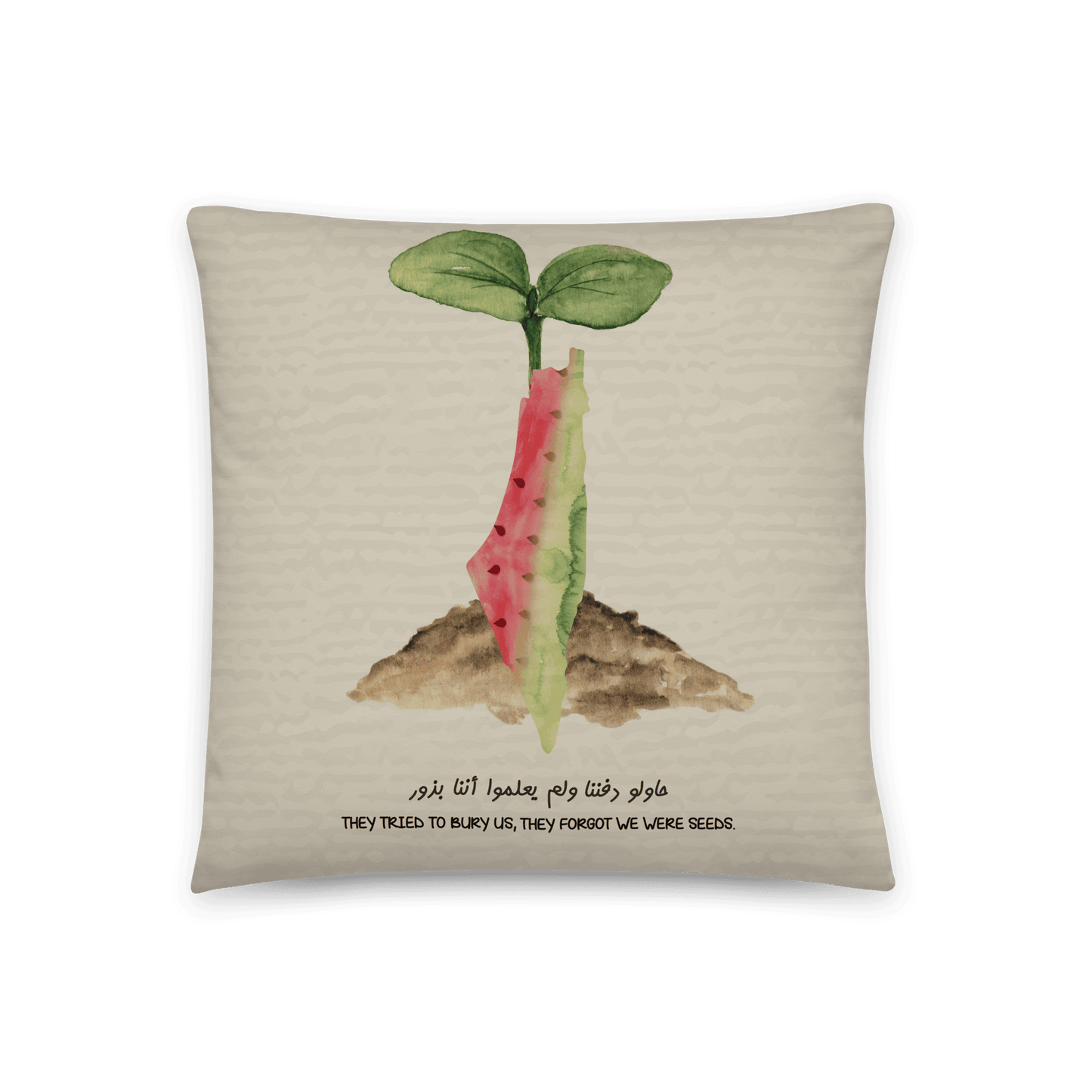 Palestinian Map Seeds Cushion