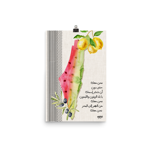 Palestine Map Watermelon & Lemon Poster