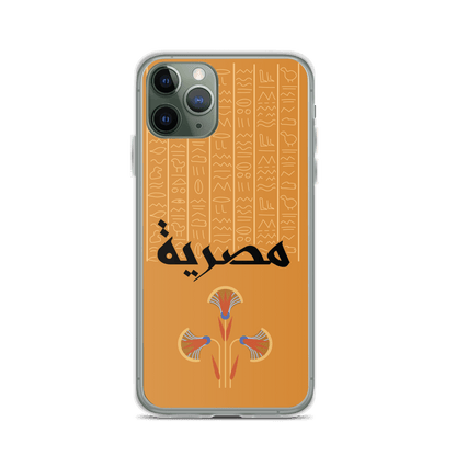 Egypt Hieroglyphs iPhone Case