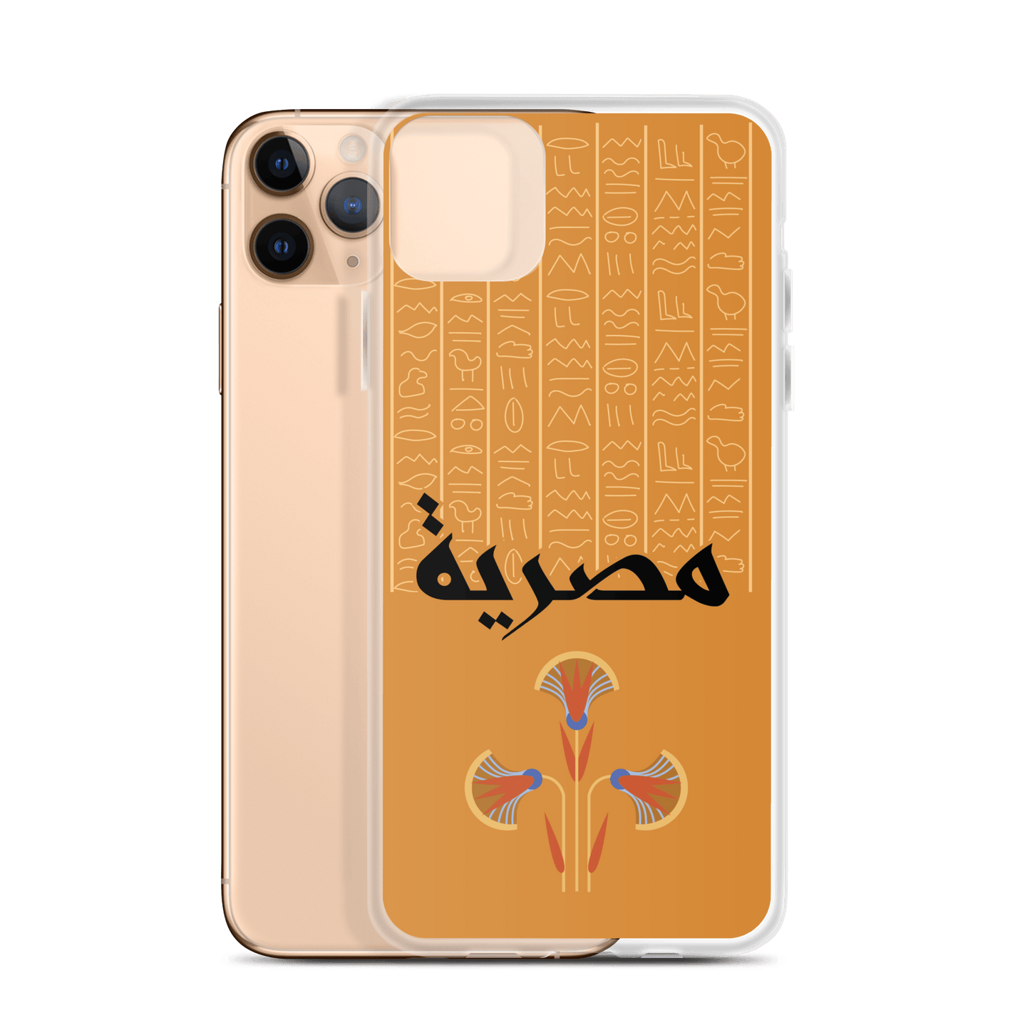 Egypt Hieroglyphs iPhone Case