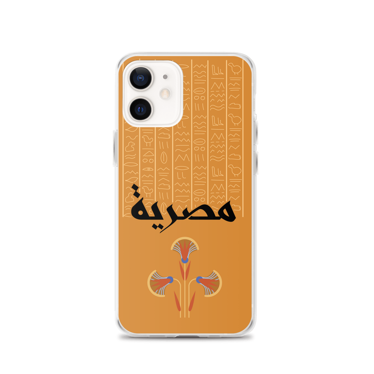 Egypt Hieroglyphs iPhone Case