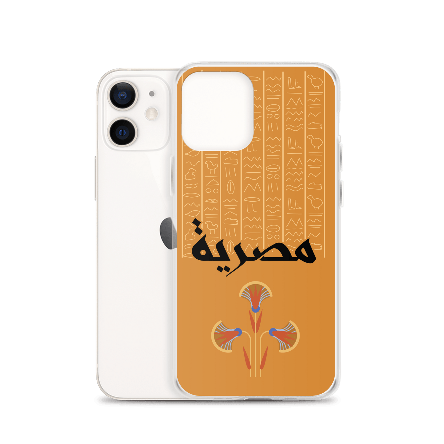 Egypt Hieroglyphs iPhone Case