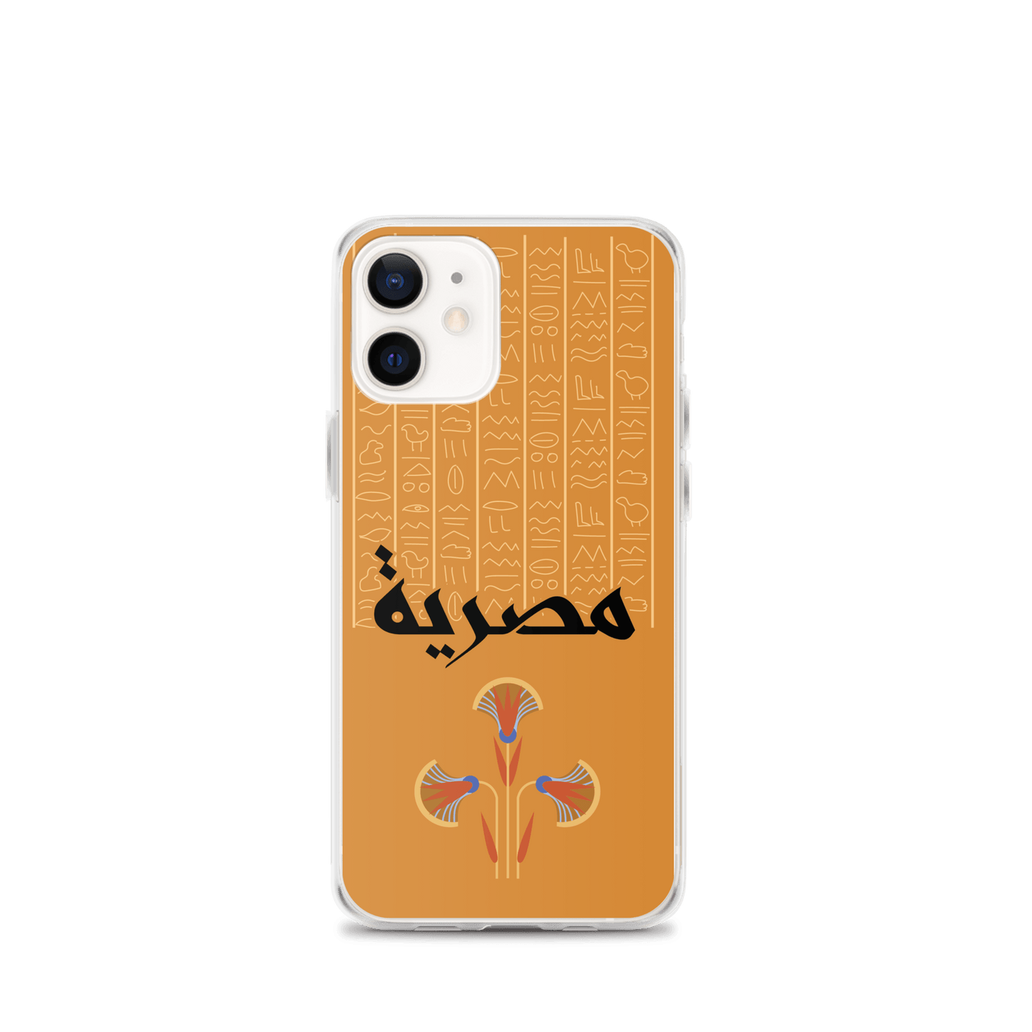 Egypt Hieroglyphs iPhone Case