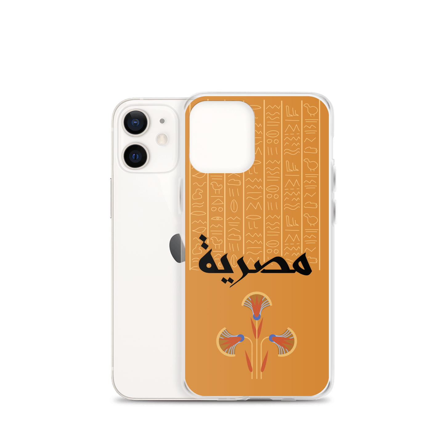 Egypt Hieroglyphs iPhone Case