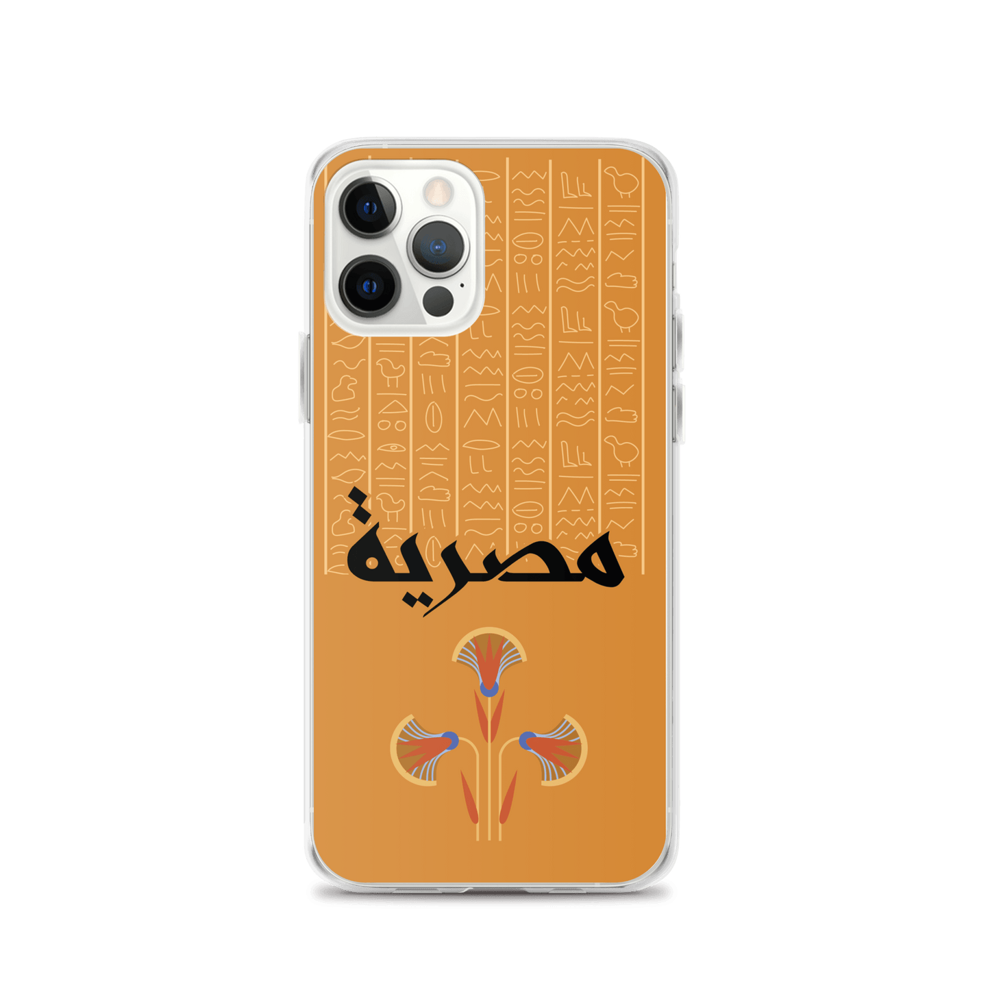 Egypt Hieroglyphs iPhone Case