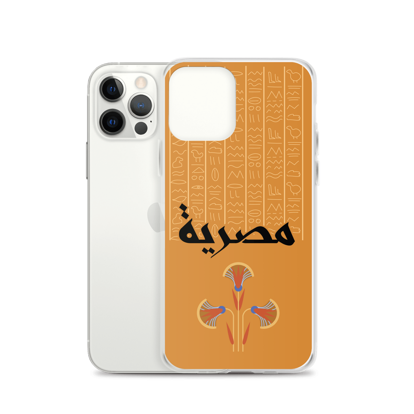 Egypt Hieroglyphs iPhone Case