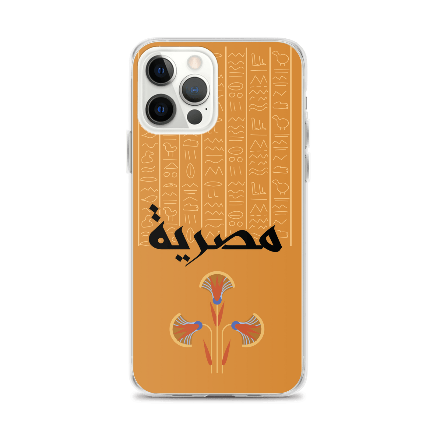 Egypt Hieroglyphs iPhone Case