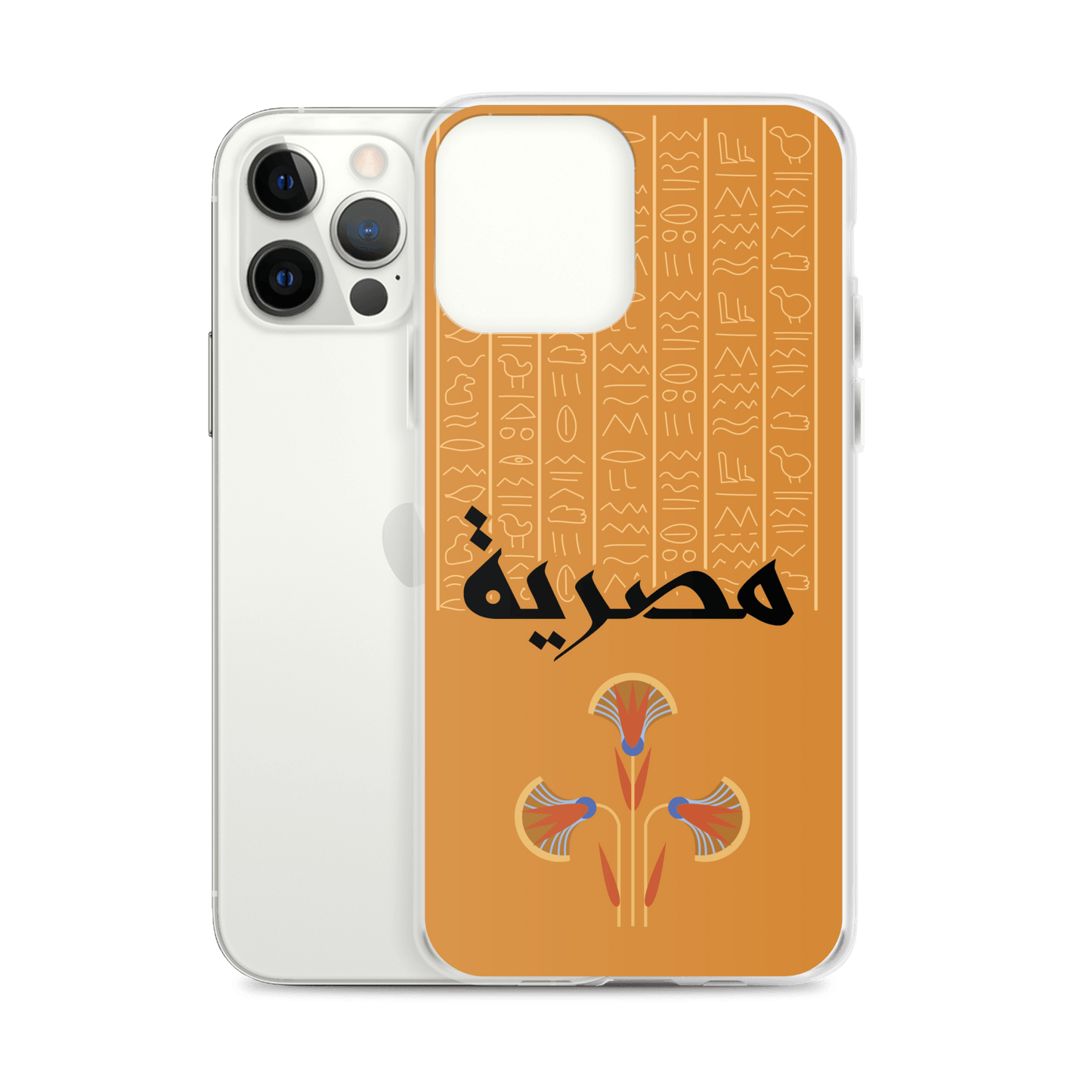 Egypt Hieroglyphs iPhone Case