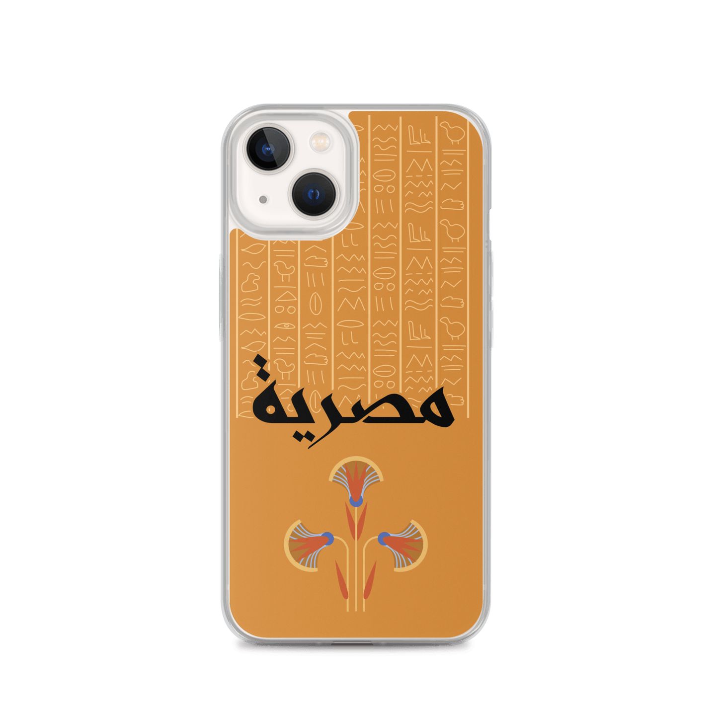 Egypt Hieroglyphs iPhone Case