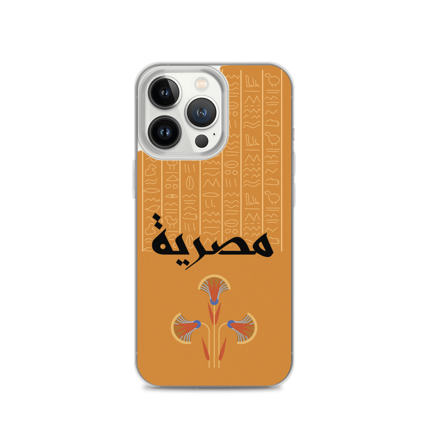 Egypt Hieroglyphs iPhone Case