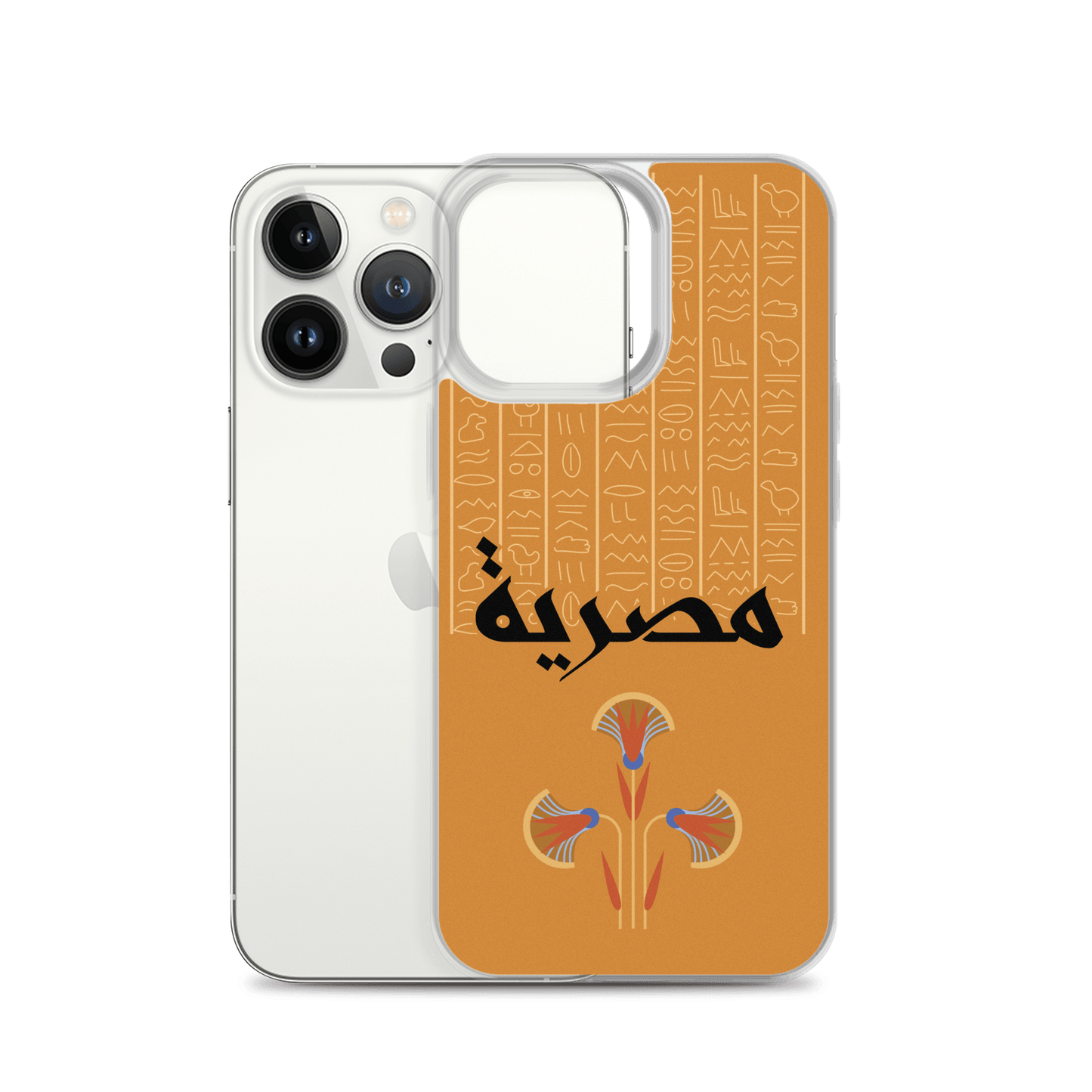 Egypt Hieroglyphs iPhone Case