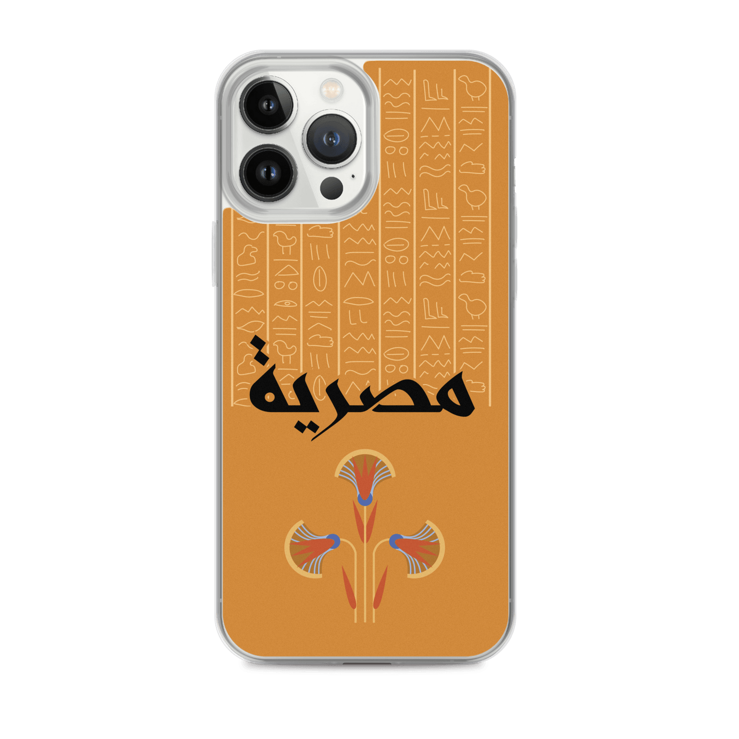 Egypt Hieroglyphs iPhone Case