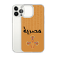 Egypt Hieroglyphs iPhone Case