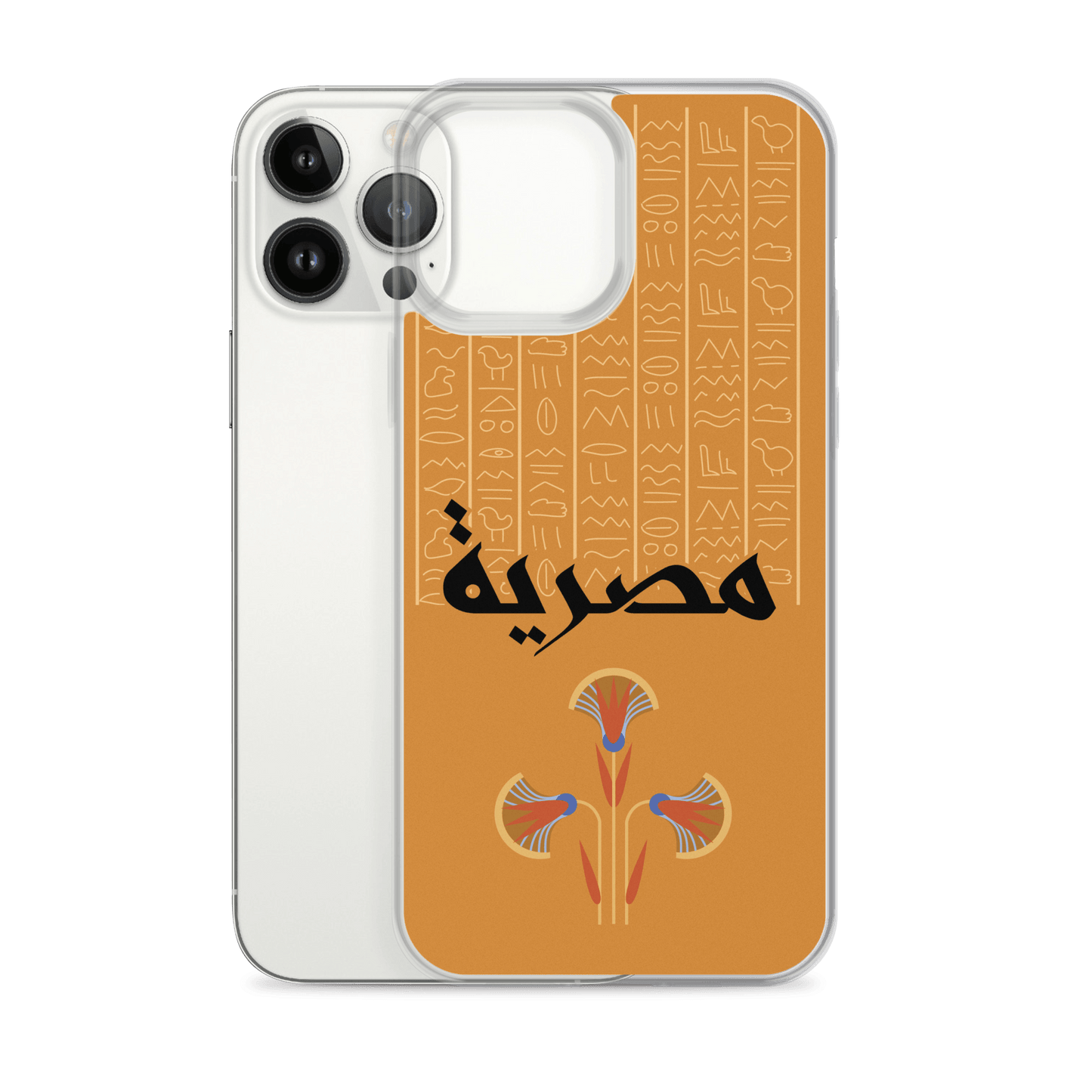 Egypt Hieroglyphs iPhone Case