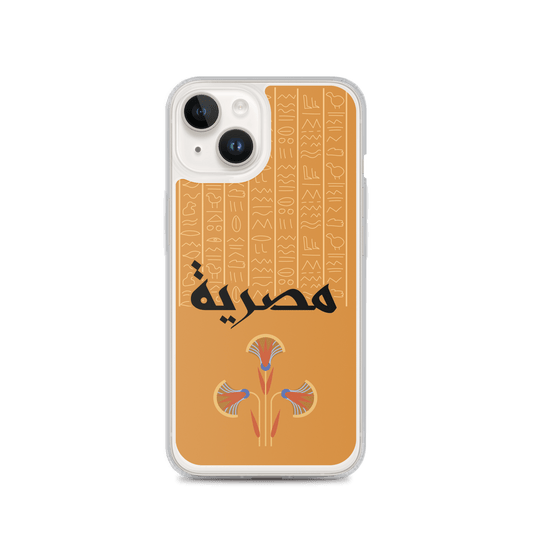 Egypt Hieroglyphs iPhone Case