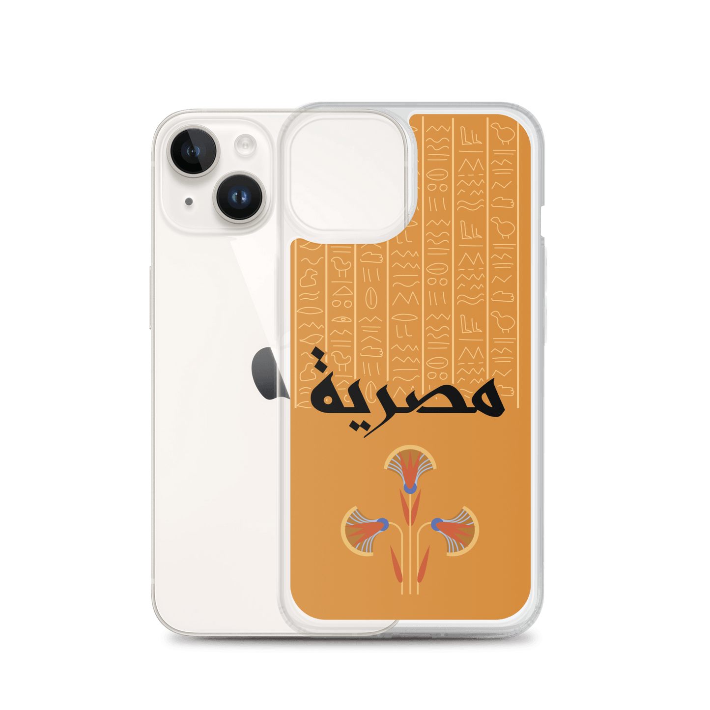 Egypt Hieroglyphs iPhone Case