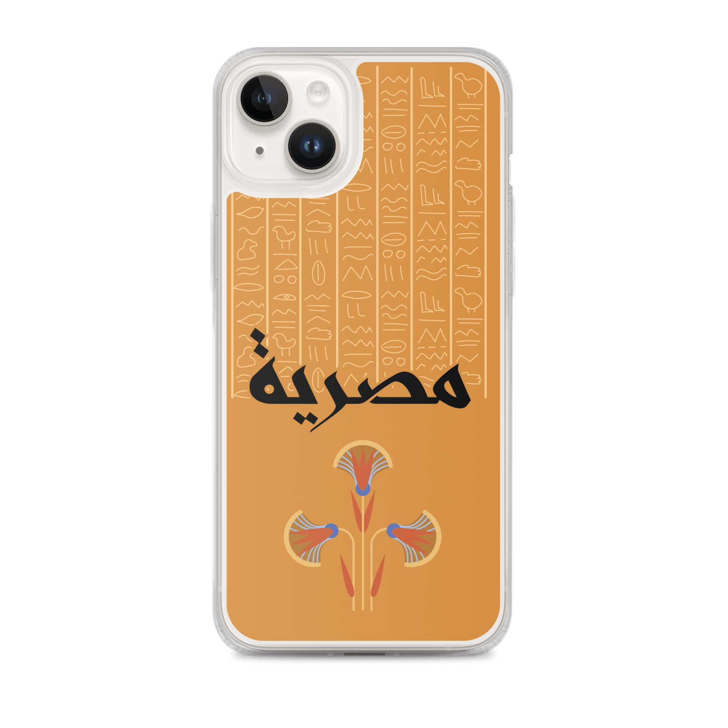 Egypt Hieroglyphs iPhone Case