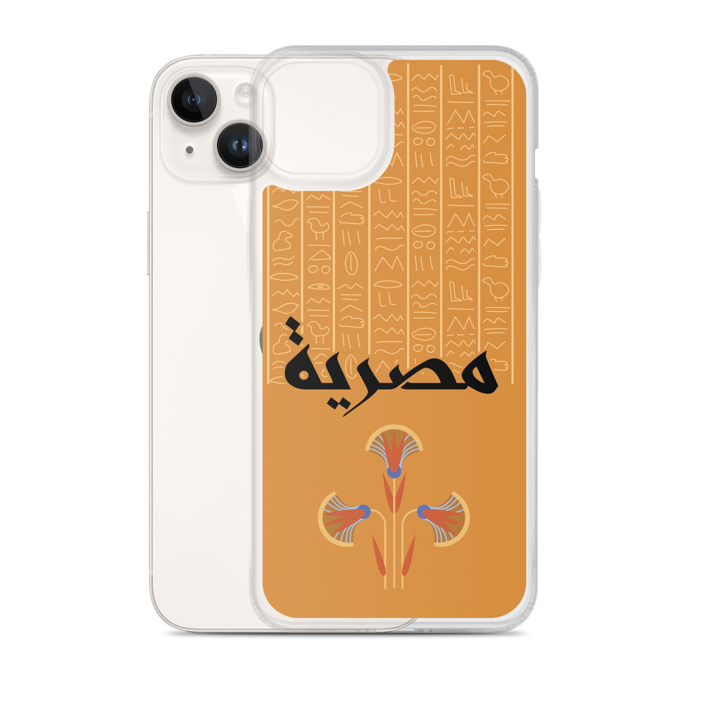 Egypt Hieroglyphs iPhone Case