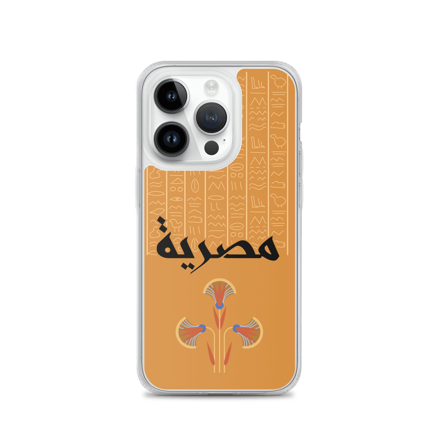 Egypt Hieroglyphs iPhone Case