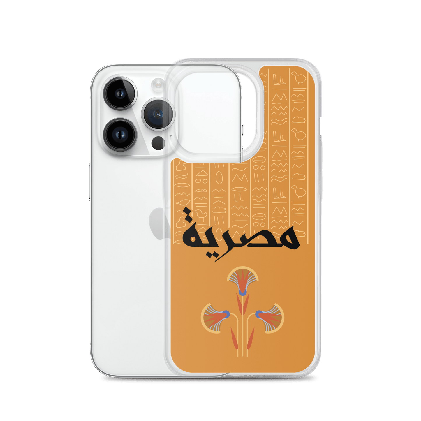 Egypt Hieroglyphs iPhone Case