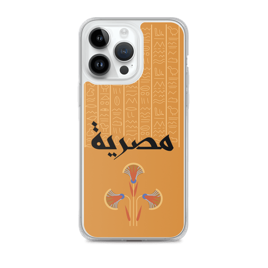 Egypt Hieroglyphs iPhone Case