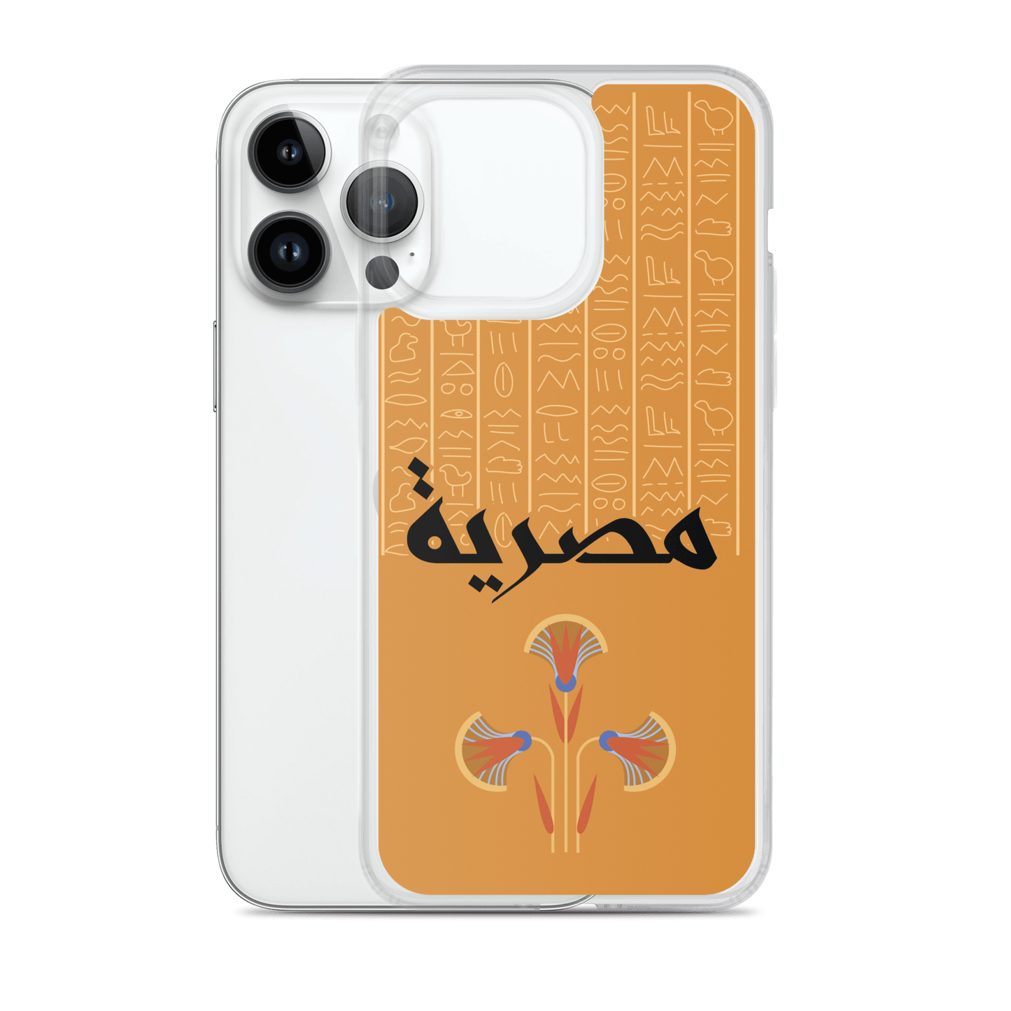 Egypt Hieroglyphs iPhone Case