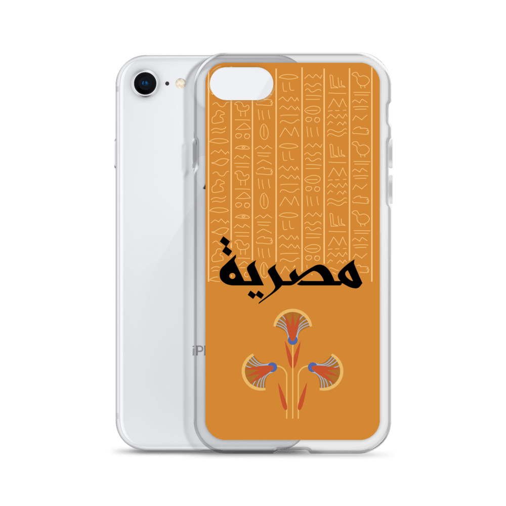 Egypt Hieroglyphs iPhone Case