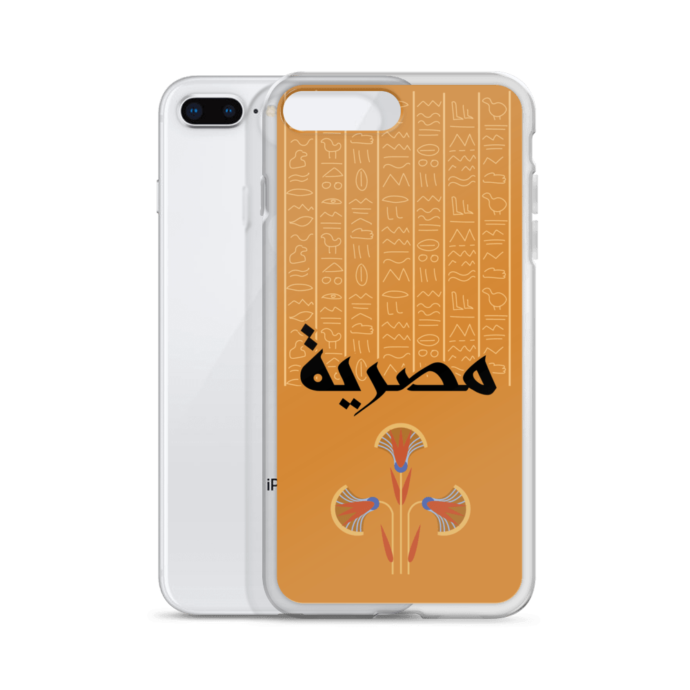 Egypt Hieroglyphs iPhone Case