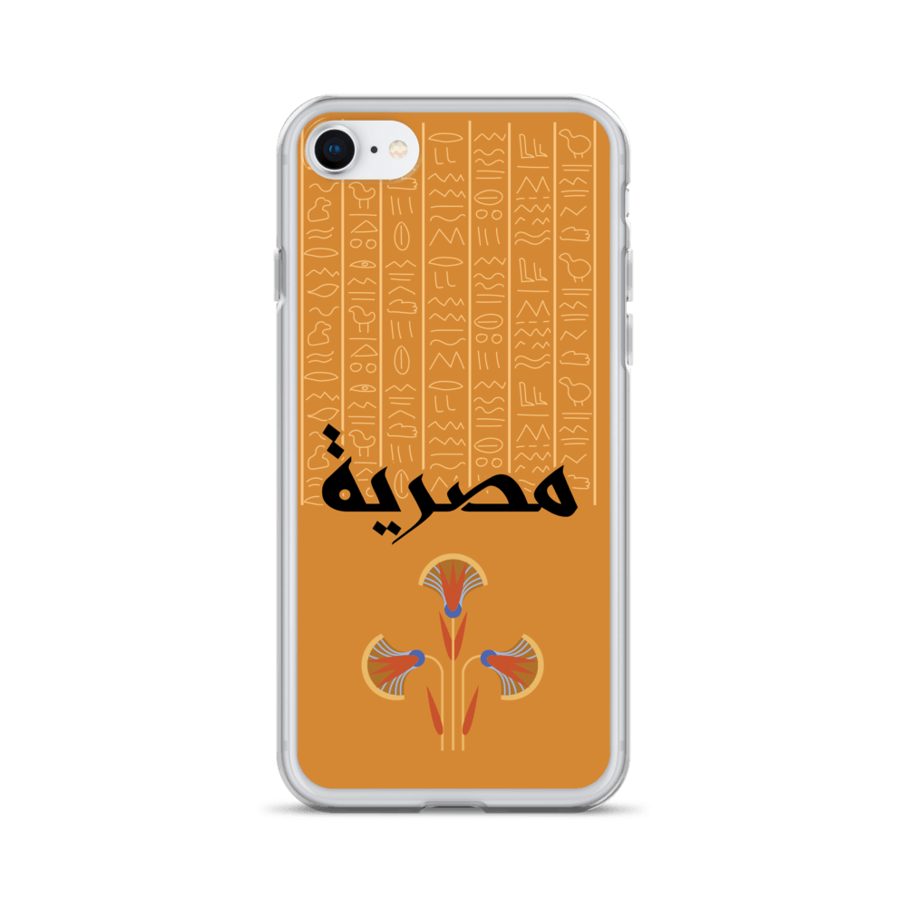 Egypt Hieroglyphs iPhone Case