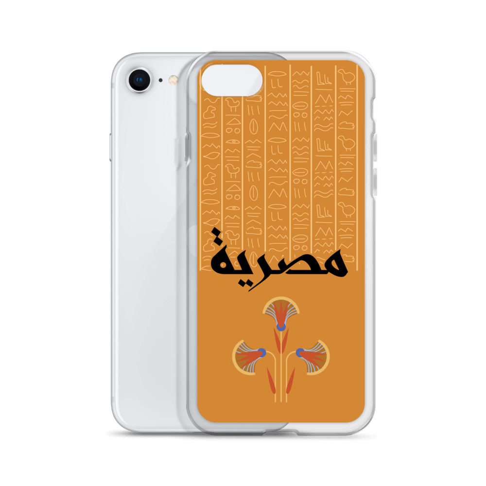 Egypt Hieroglyphs iPhone Case