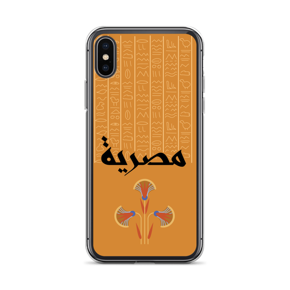 Egypt Hieroglyphs iPhone Case