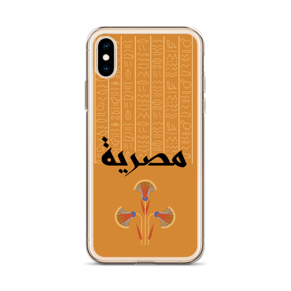 Egypt Hieroglyphs iPhone Case