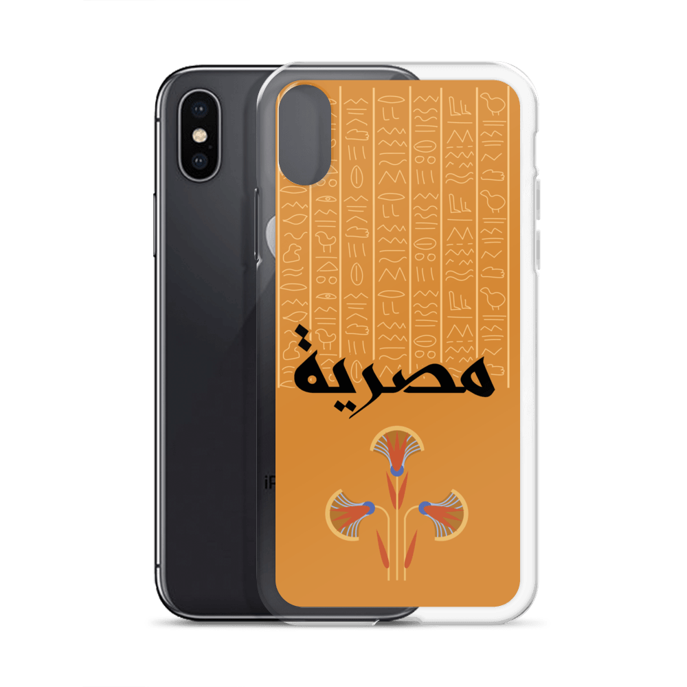 Egypt Hieroglyphs iPhone Case