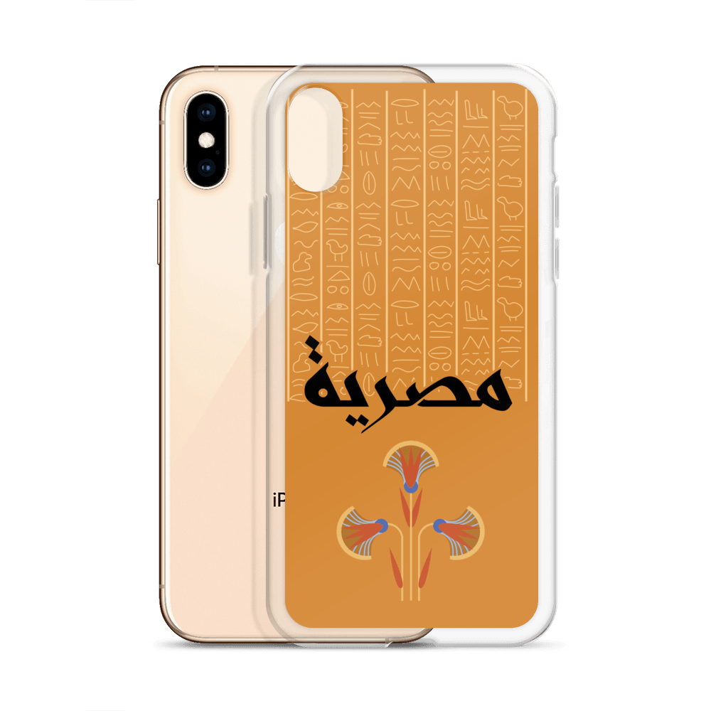 Egypt Hieroglyphs iPhone Case