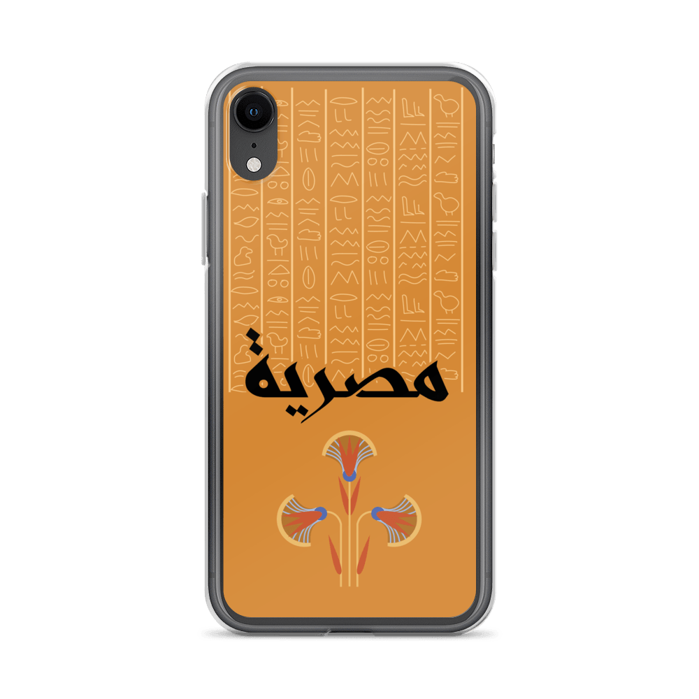 Egypt Hieroglyphs iPhone Case