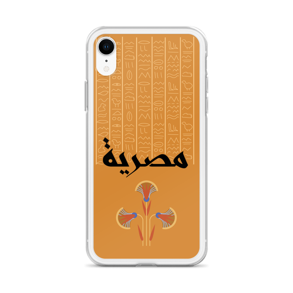 Egypt Hieroglyphs iPhone Case