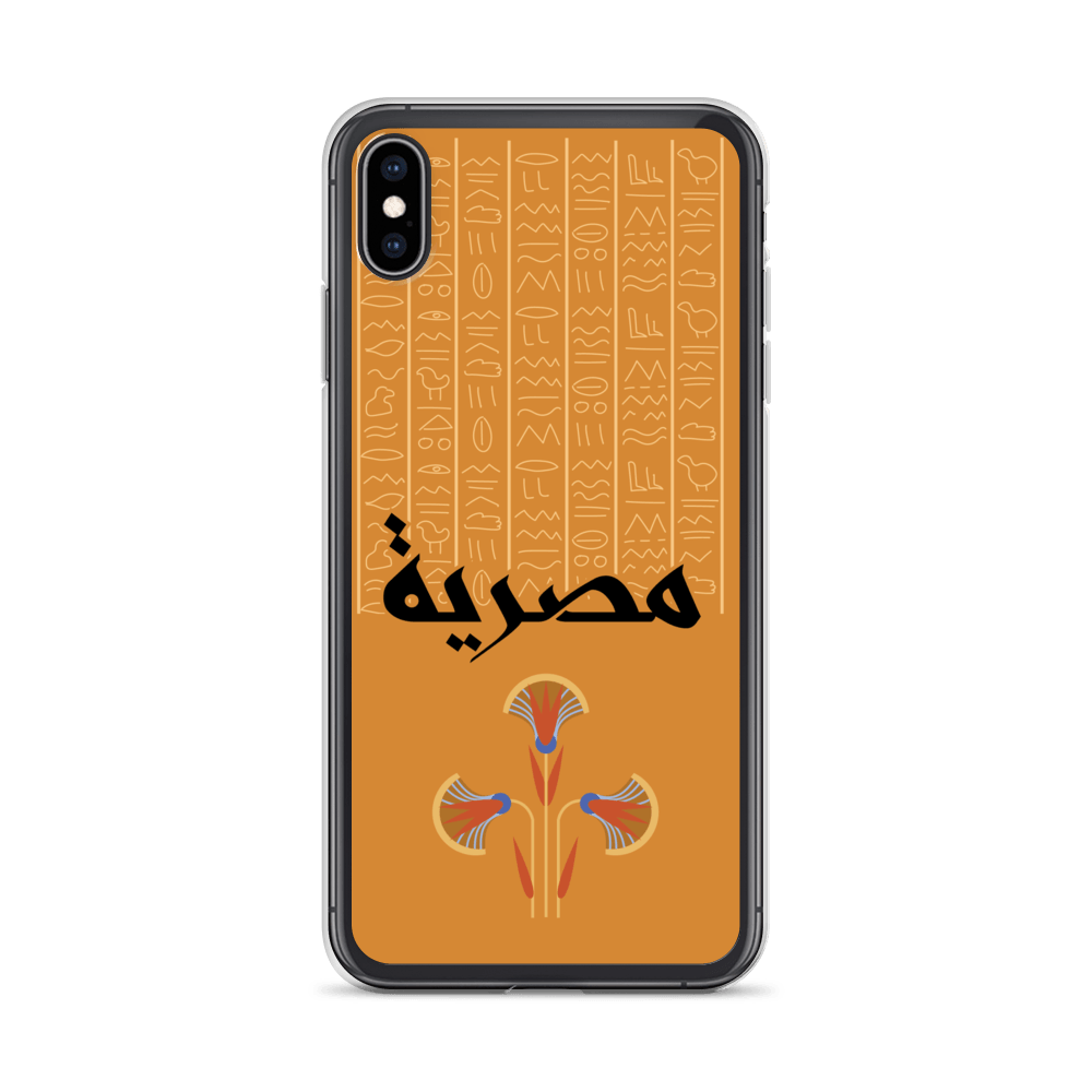 Egypt Hieroglyphs iPhone Case