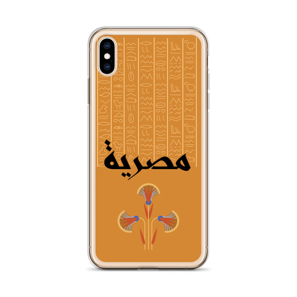 Egypt Hieroglyphs iPhone Case