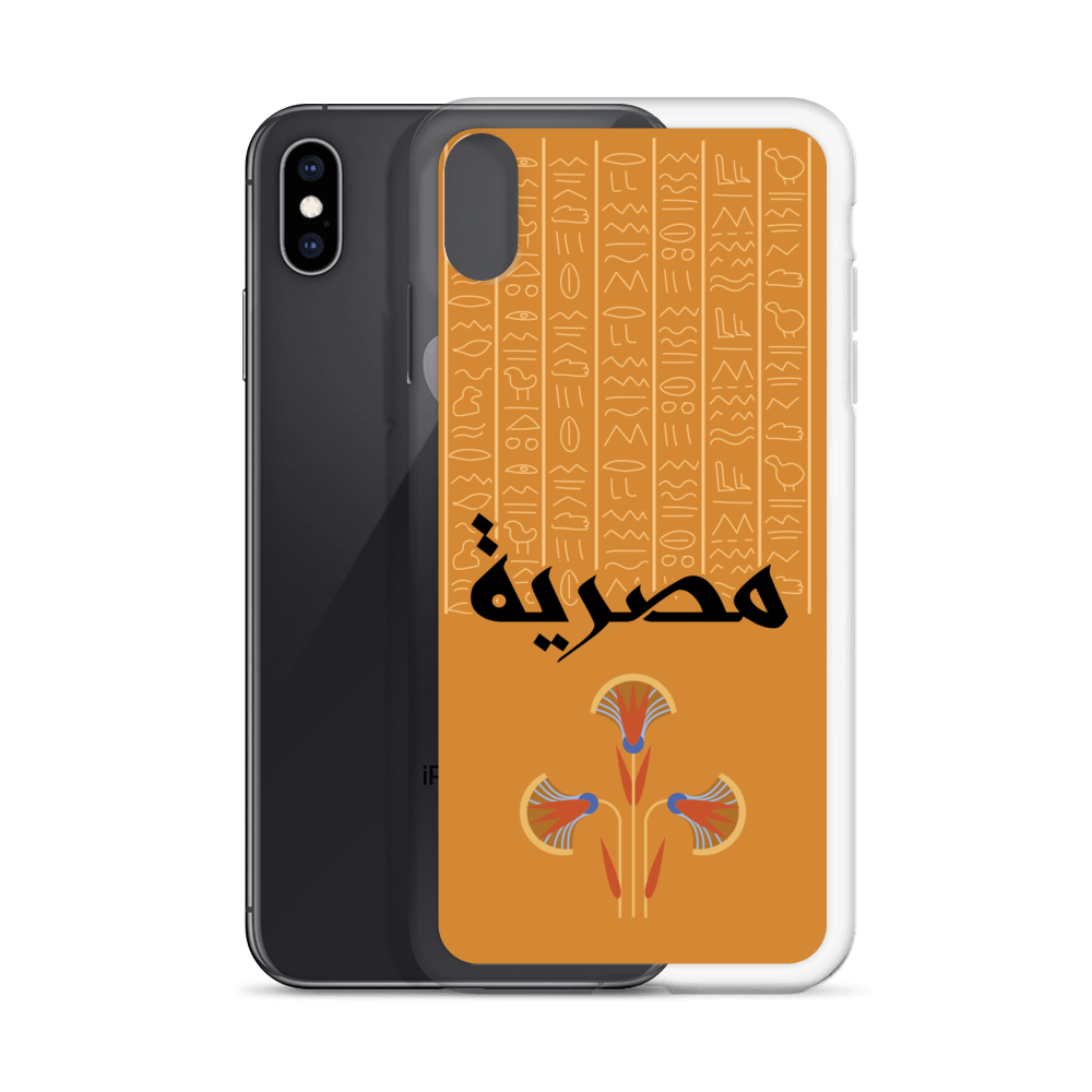 Egypt Hieroglyphs iPhone Case