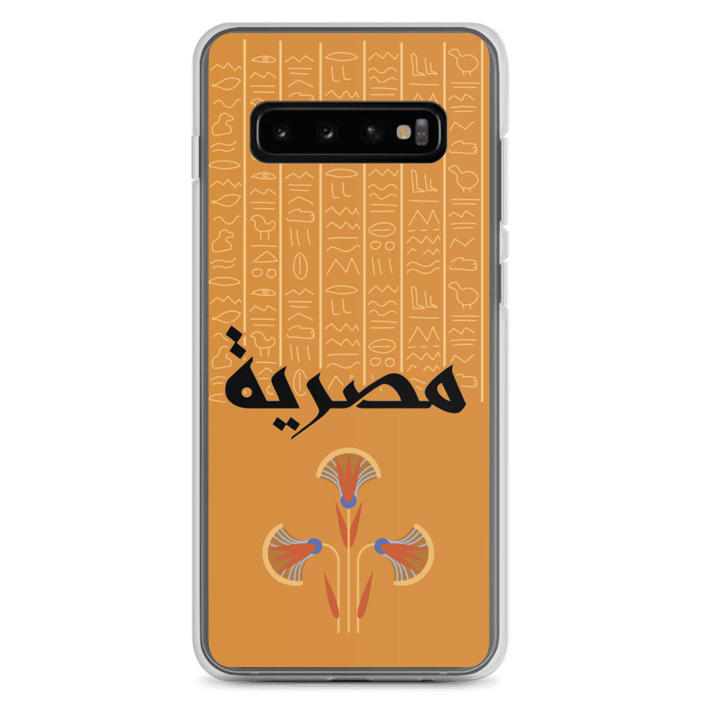 Egypt Hieroglyphs Samsung Case