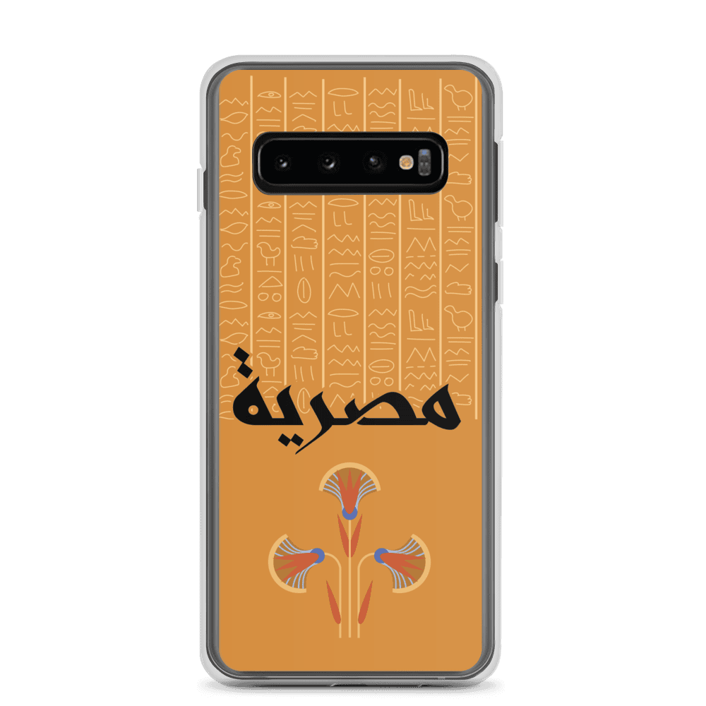 Egypt Hieroglyphs Samsung Case