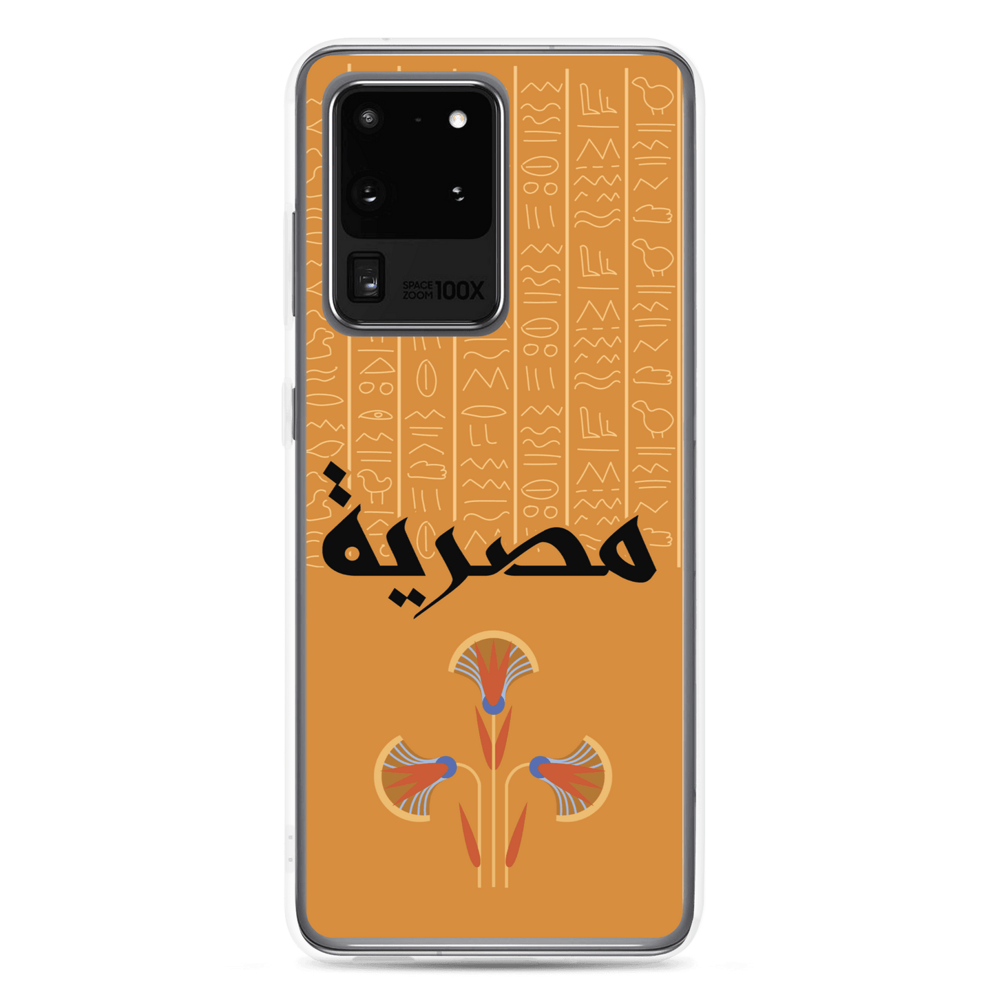 Egypt Hieroglyphs Samsung Case