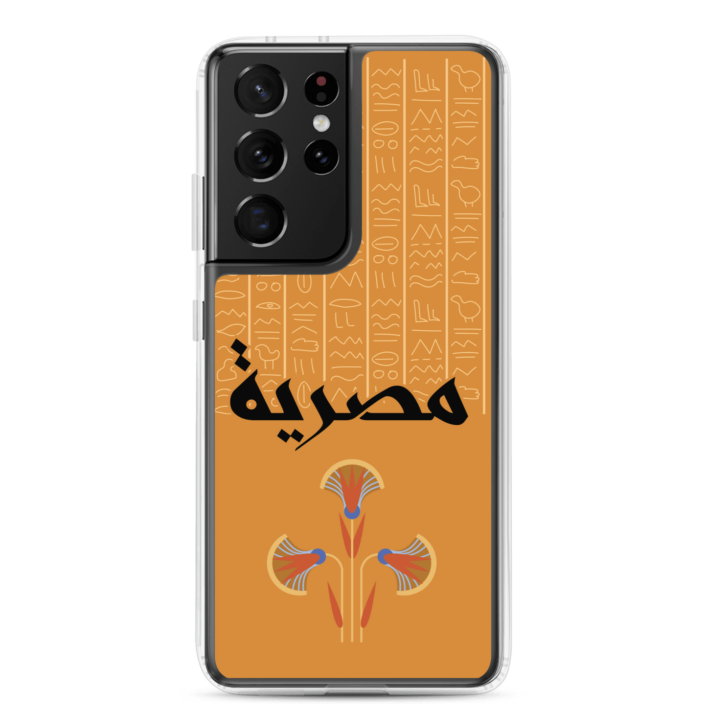 Egypt Hieroglyphs Samsung Case