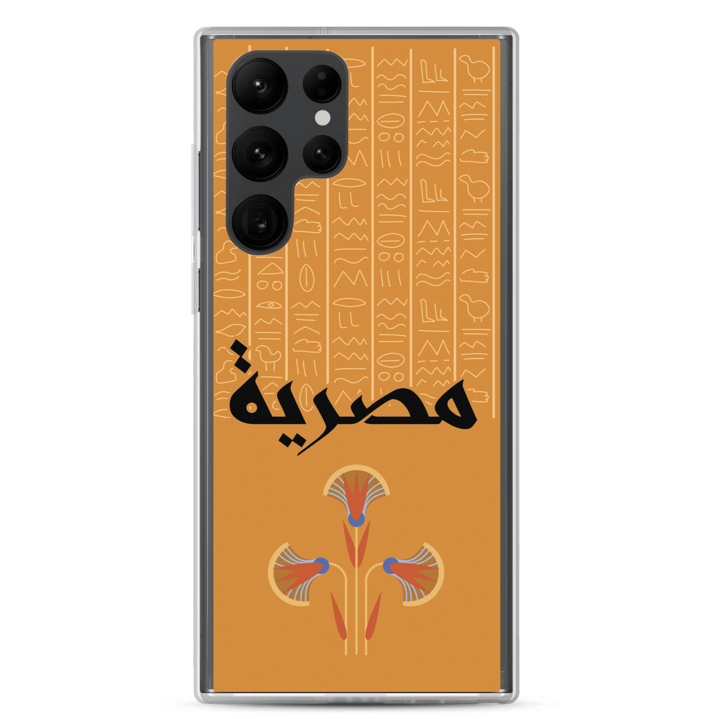 Egypt Hieroglyphs Samsung Case